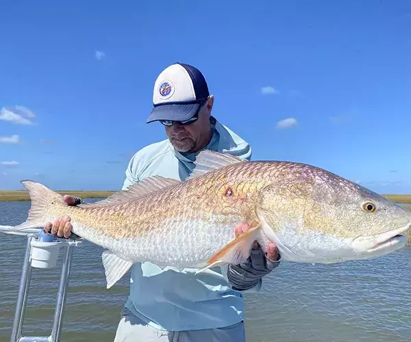 									Cocodrie louisiana redfish fly fishing bull red warrior
															