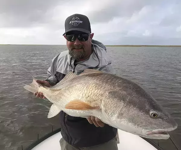 									Cocodrie louisiana redfish fly fishing bull red
															