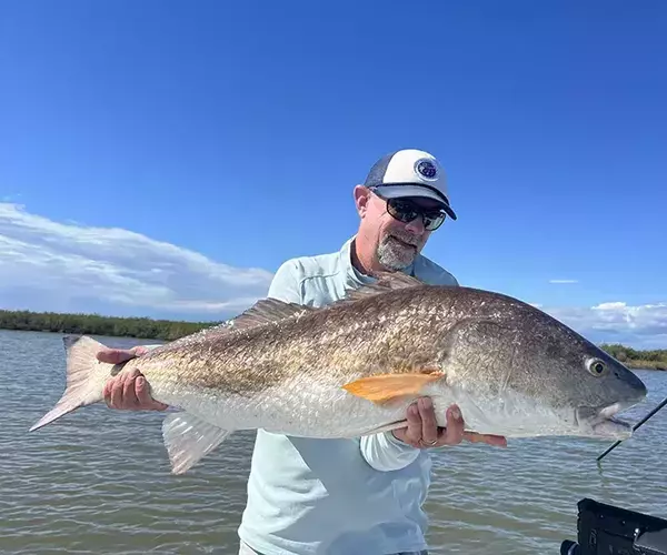 									Cocodrie louisiana redfish fly fishing bull redfish in hand
															