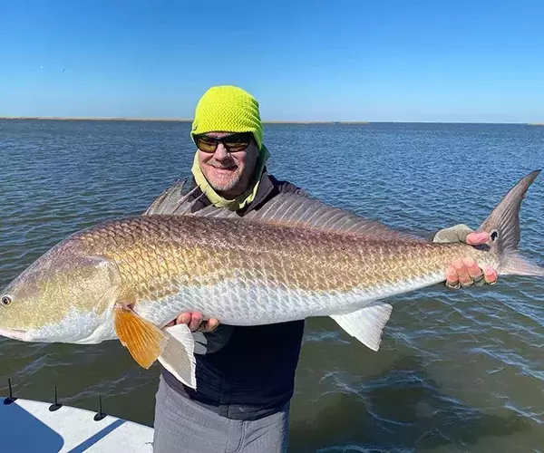 									Cocodrie louisiana redfish fly fishing bull redfish
															