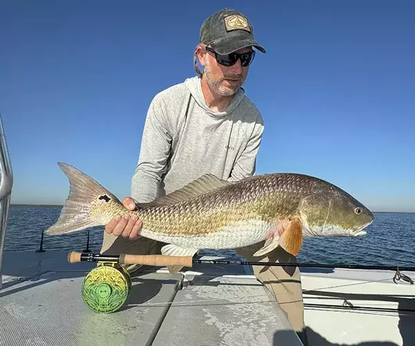 									Cocodrie louisiana redfish fly fishing captain ben cooley
															