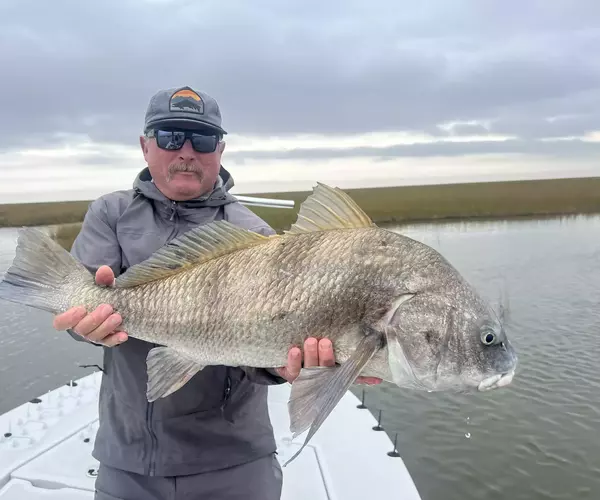 									Cocodrie louisiana redfish fly fishing kk black drum
															