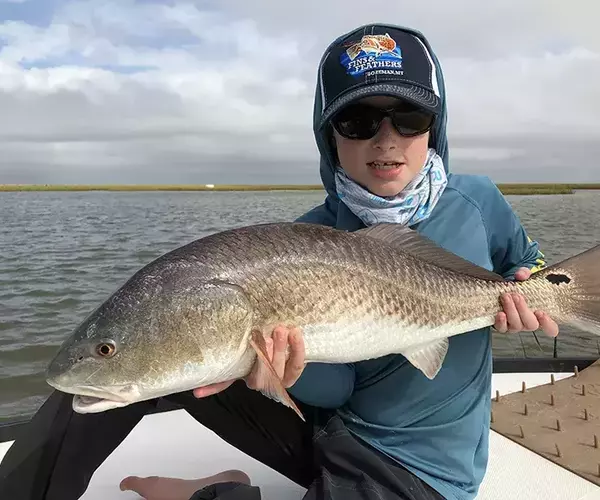 									Cocodrie louisiana redfish fly fishing slot red
															