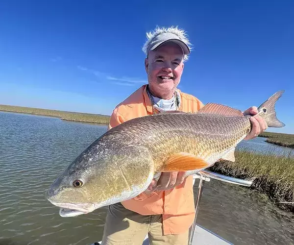 									Cocodrie louisiana redfish fly fishing tb and bull red
															