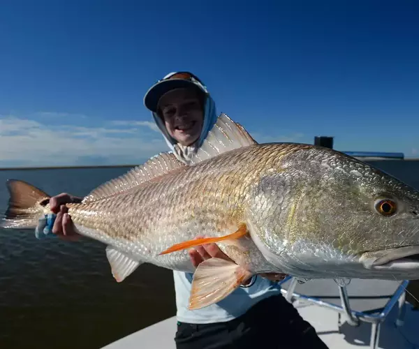 									Cocodrie lousiana redfish fly fishing 1 of 1 4
															