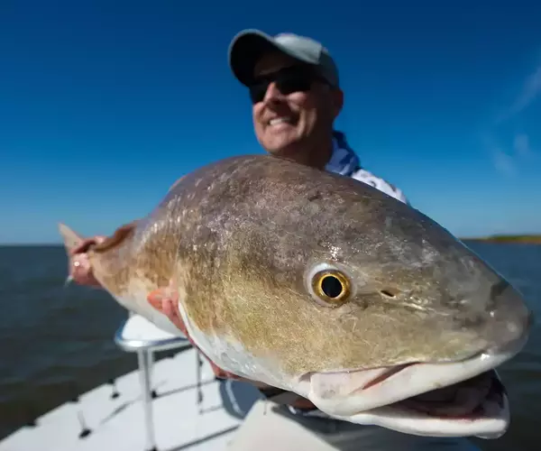 									Cocodrie lousiana redfish fly fishing 1 of 1
															