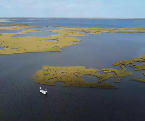 									Cocodrie lousiana redfish fly fishing 1 of 10
															