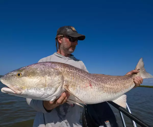 									Cocodrie lousiana redfish fly fishing 1 of 11
															