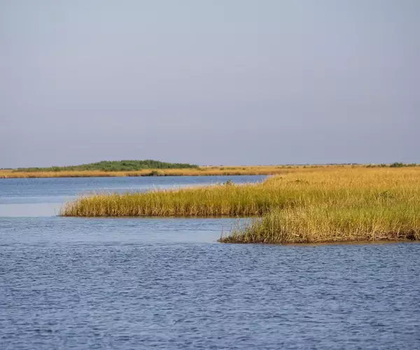 									Cocodrie lousiana redfish fly fishing 10 of 11
															