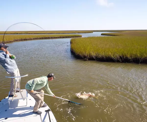 									Cocodrie lousiana redfish fly fishing 7 of 11
															