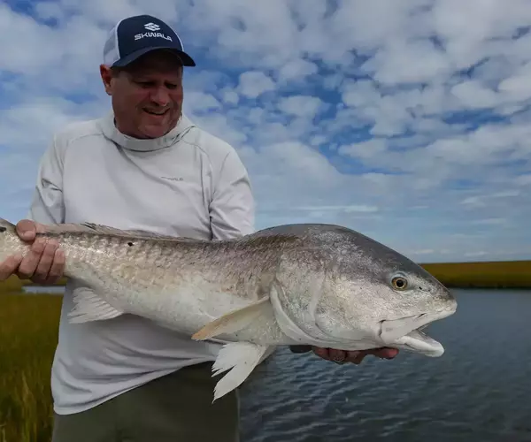 									Cocodrie lousiana redfish fly fishing 8 of 10
															