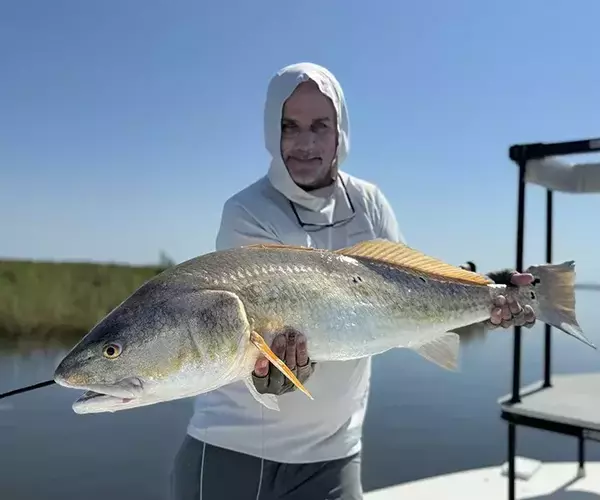 									Woodland plantation fly fishing for bull redfish
															