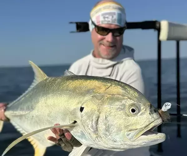 									Woodland plantation fly fishing jack crevalle
															