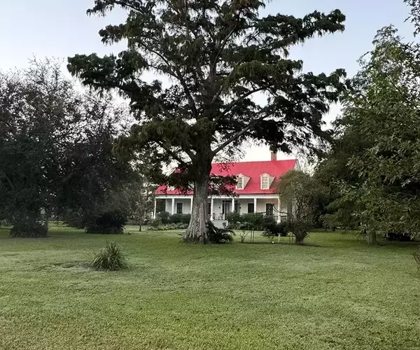 									Woodland plantation fly riverview
															