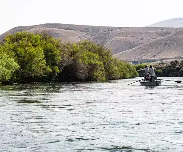 Beaverhead river fishing in july 2