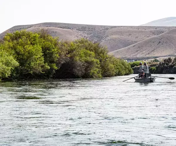 Montana fly fishing on the upper Beaverhead River
