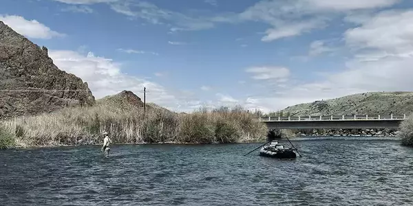 Fly fishing in Montana while wading the Beaverhead River