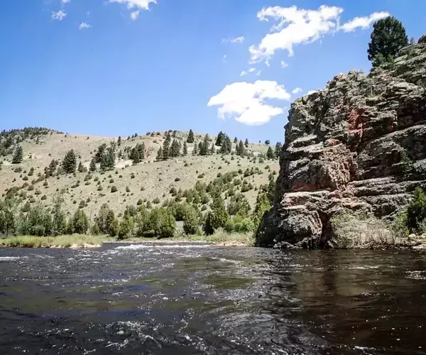Big hole river fishing in june 4