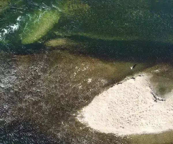 									Fly Fish Montana on Bighorn River 43
															