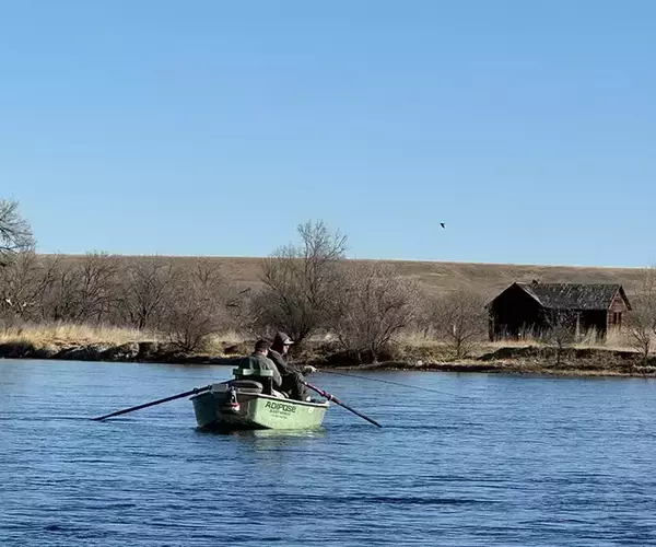 Fly Fish Montana on Bighorn River 49