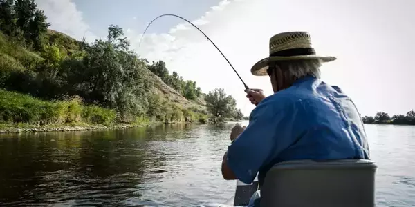 Angler fishing the Bighorn River Montana downstream of Bighorn Fishing Access SIte.