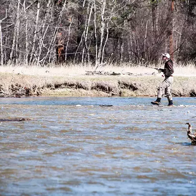 											Bitterroot river fly fishing wading angler
																				