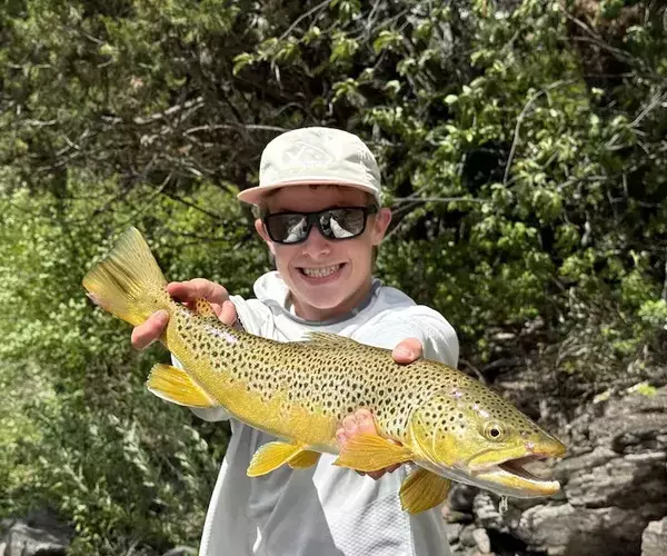 Blackfoot river fishing brown trout on streamer