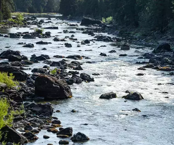 Blackfoot river fishing rock garden