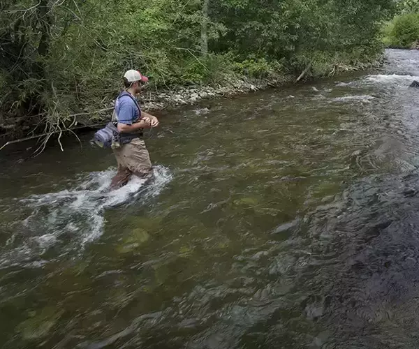 									Montana fly fishing small mountain stream.
															