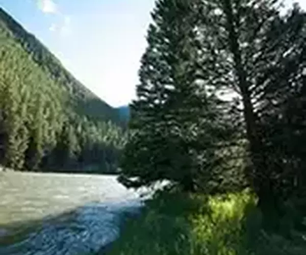 									Gallatin river fly fishing high water canyon
															