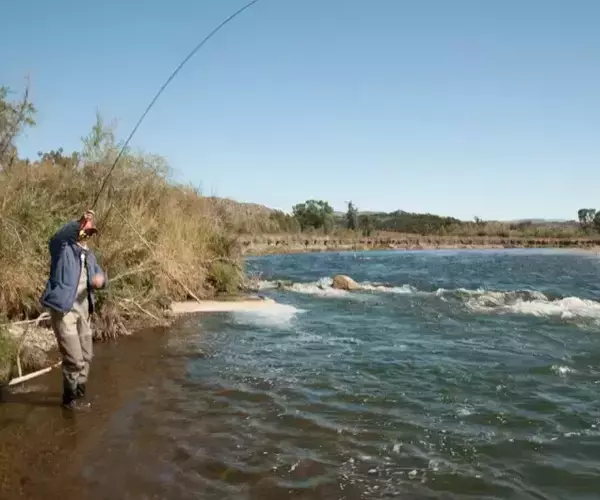 									Gallatin river fly fishing wading angler hooked up
															