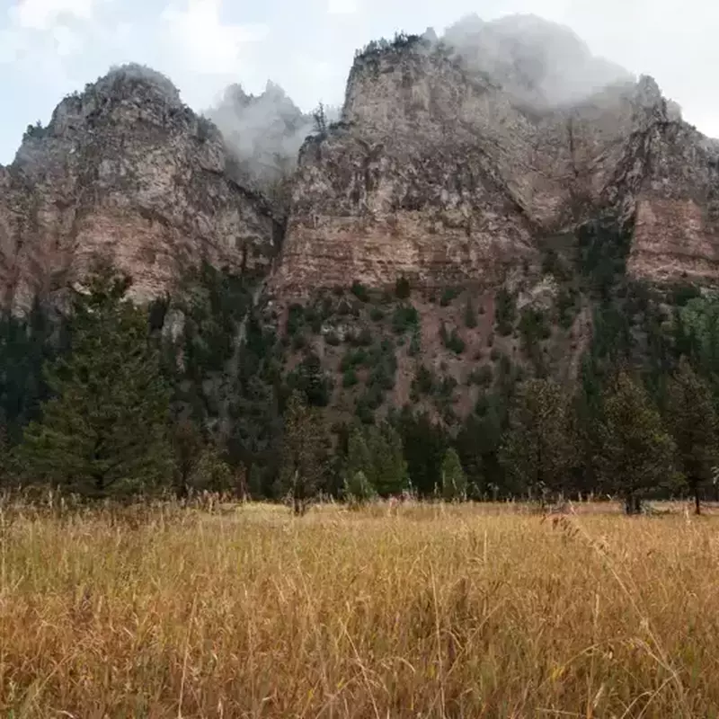 											Gallatin river fly fishing canyon scnenery
																						