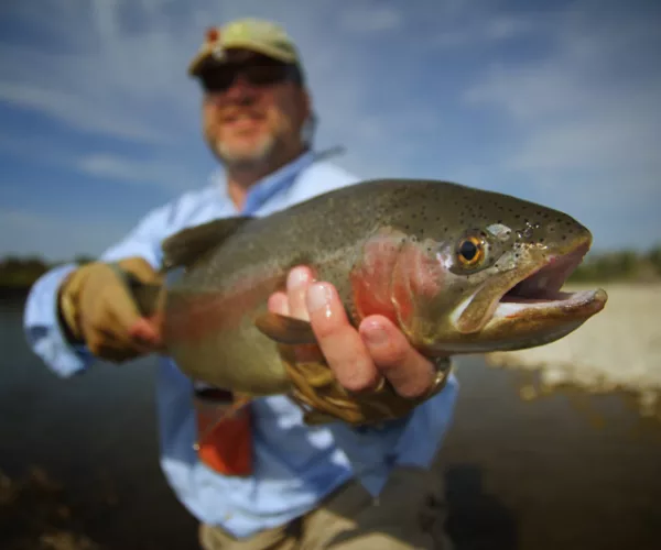 									Gallatin River Fly Fishing Guide Trip 3
															