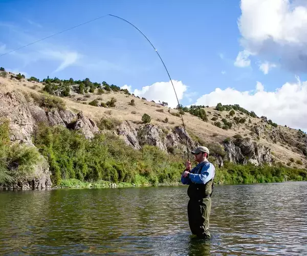 Gallatin River fishing during a Fins and Feathers Guide Service fly fishing trip.