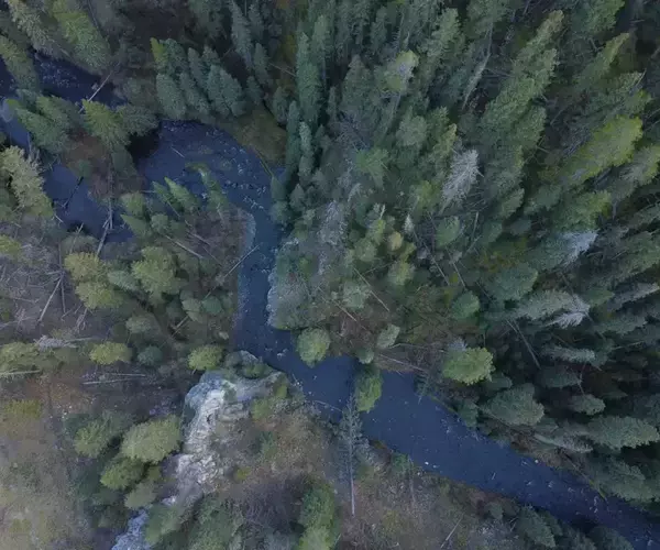 Aerial View of Hyalite Creek near Bozeman, Montana - photo courtesy of John Salinardo