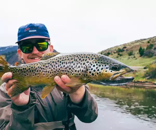 									Jefferson river fly fishing 52
															