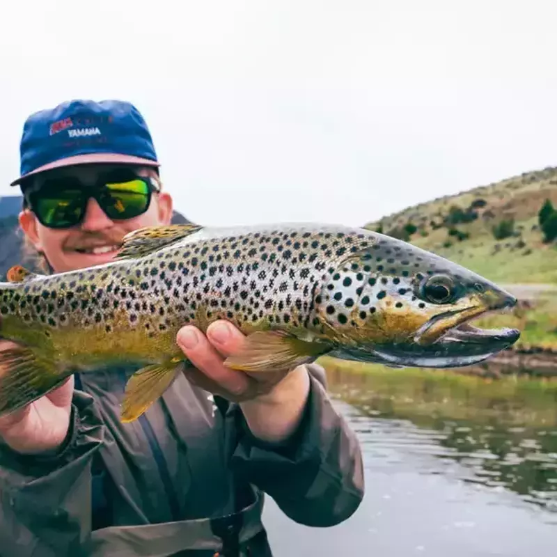											Jefferson river fly fishing 52
																						