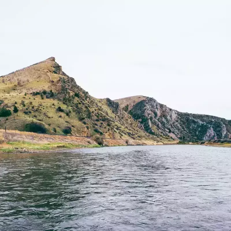 											Jefferson river fly fishing 54
																						