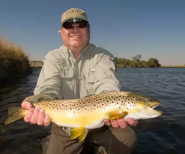 Lower madison river fishing trophy brown trout near greycliffs