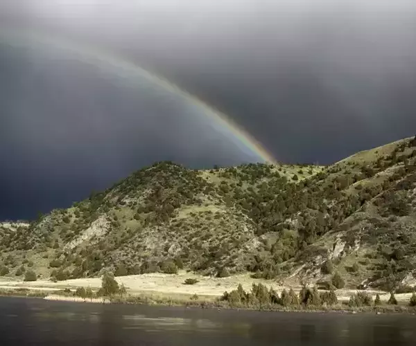 									Lower madison river rainbow
															