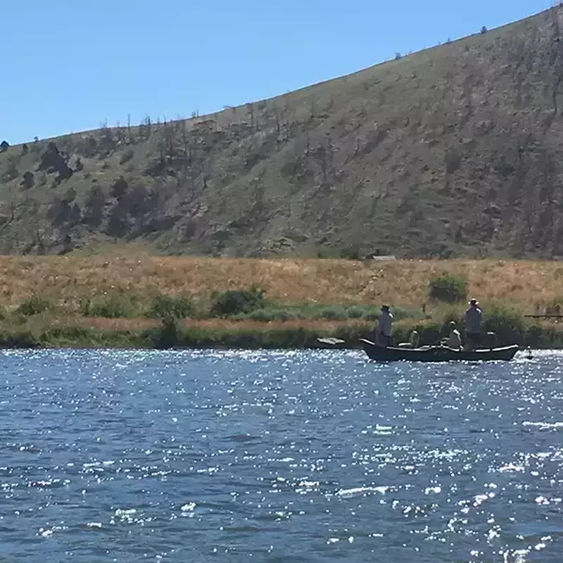 											Lower madison river fishing 52
																						
