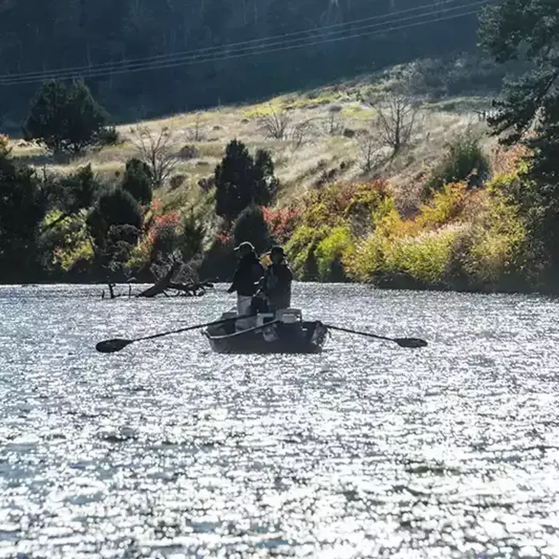 											Flyfish Montana on the lower Madison River while floating.
																						