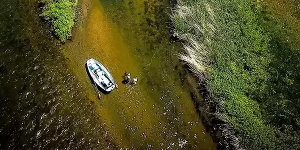 Anglers fishing the Madison River on a Fins and Feathers guide trip
