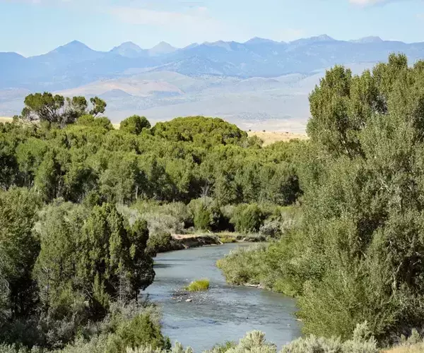 									Ruby river montana near alder
															