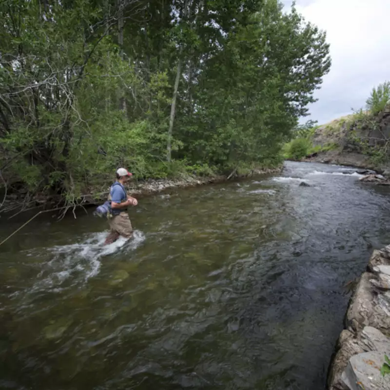 											Small Stream Montana Guided Fly Fishing 3
																						
