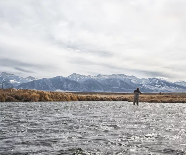 									Upper Madison River Fly Fishing Guide Trip
															