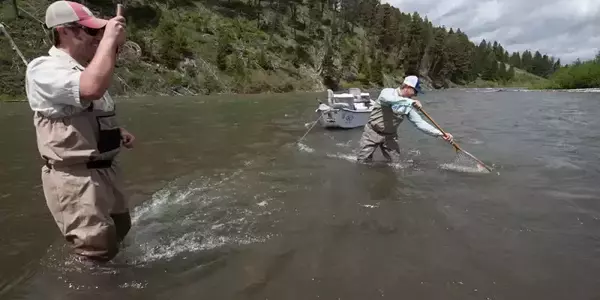 Anglers fishing the upper Madison River during high water