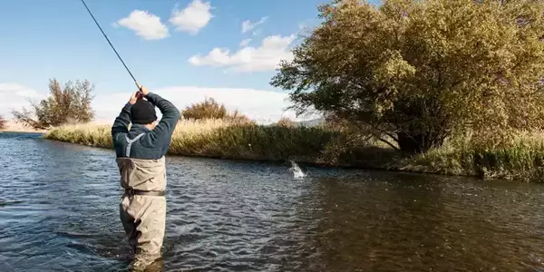 Madison river fly fishing near ennis montana