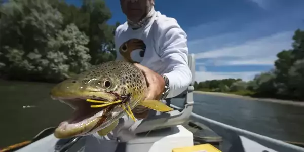 Yellowstone river fishing summer streamers