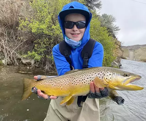 									Beaverhead river brown trout 2
															
